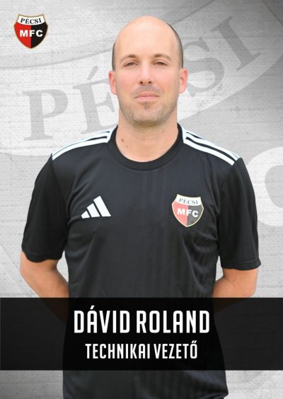 Dávid Roland