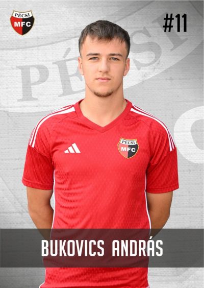 Bukovics András