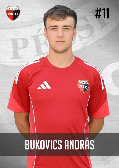 Bukovics András