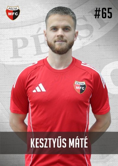 Kesztyűs Máté
