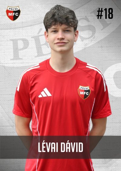 Lévai Dávid