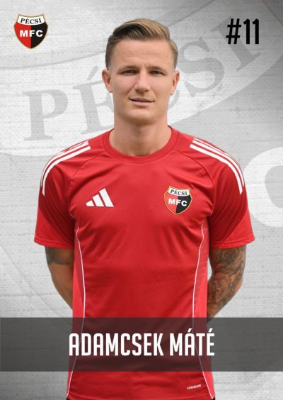 Adamcsek Máté