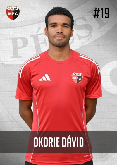 Okorie David